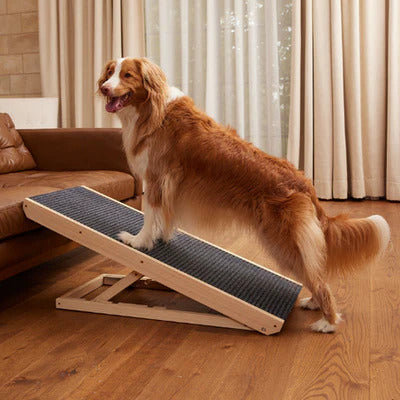 Dog Ramp