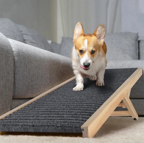 Dog Ramp