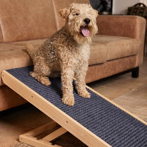 Dog Ramp