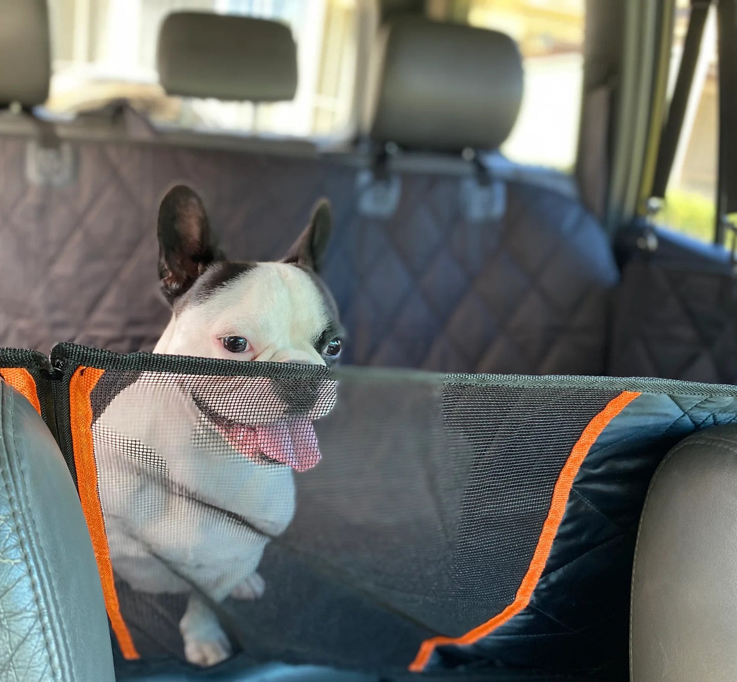 Brisbane™ Premium Hammock Pet Car Seat Cover