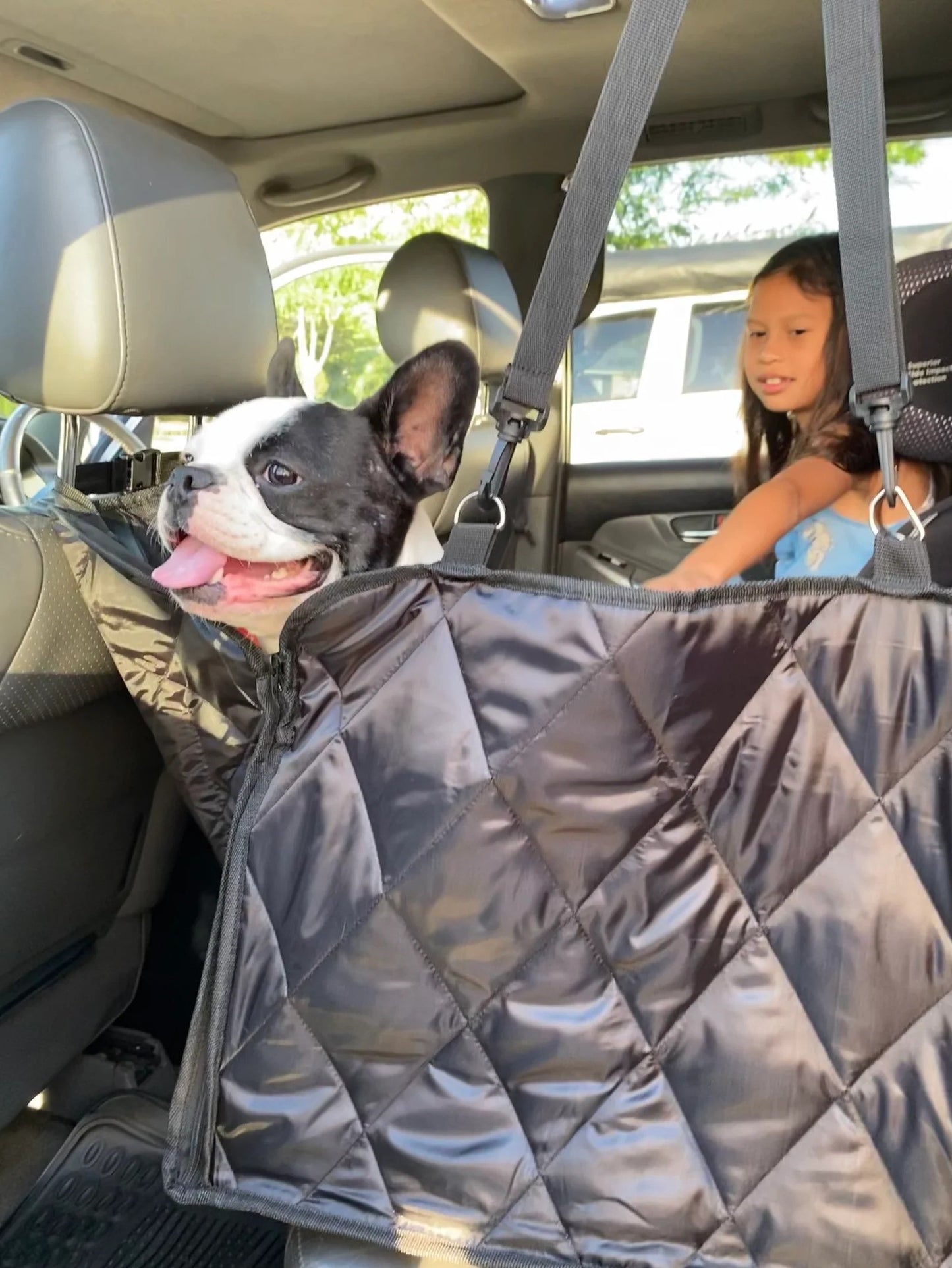 Brisbane™ Premium Hammock Pet Car Seat Cover