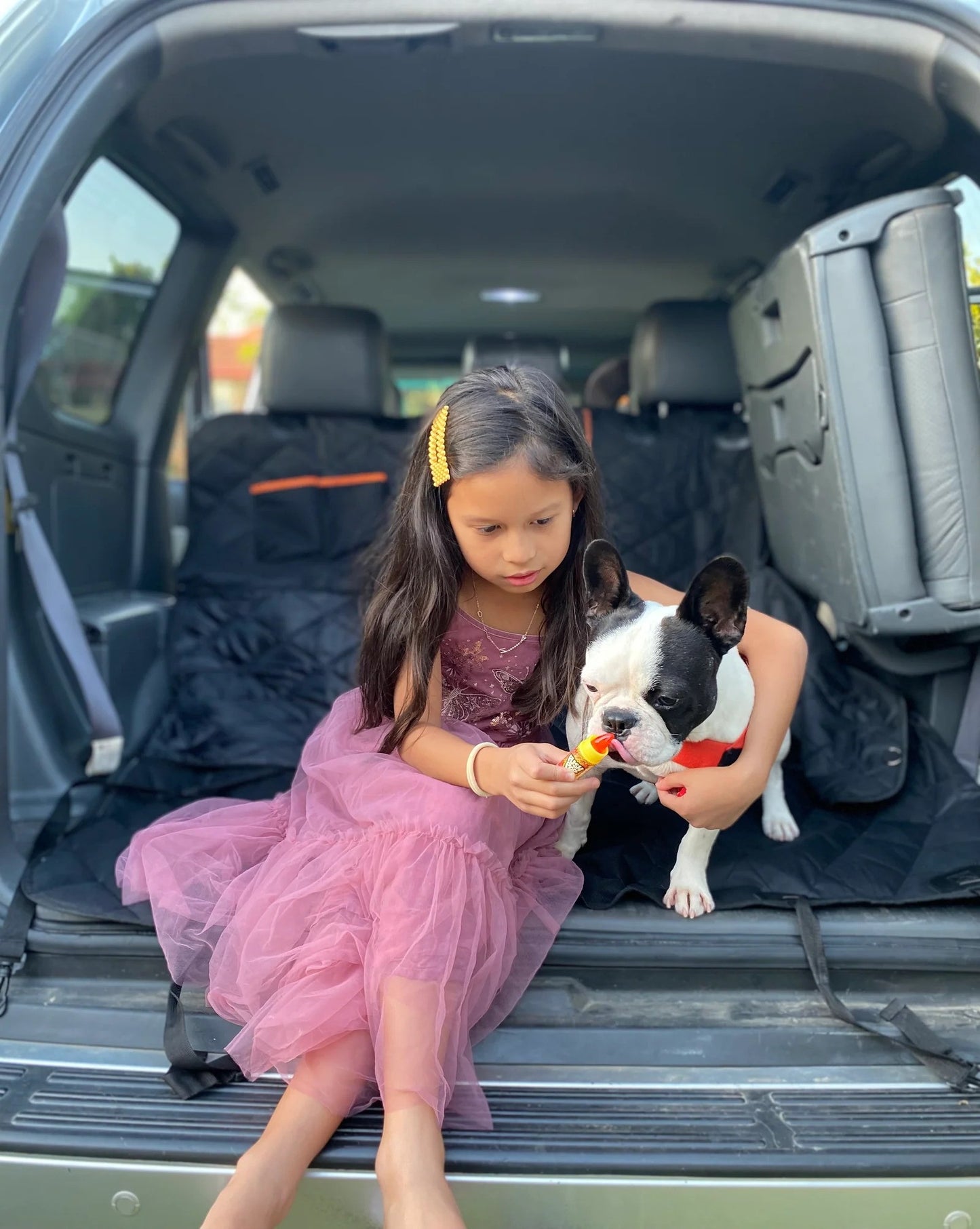 Brisbane™ Premium Hammock Pet Car Seat Cover